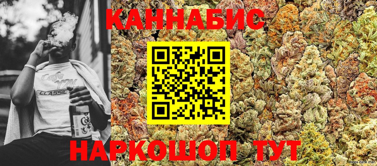 Бошки марихуана гибрид Москва